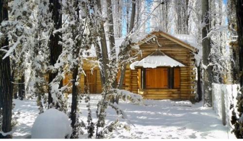 a log cabin in the woods in the snow at Cabaña LA EMILIA Uspallata Mdz in Uspallata