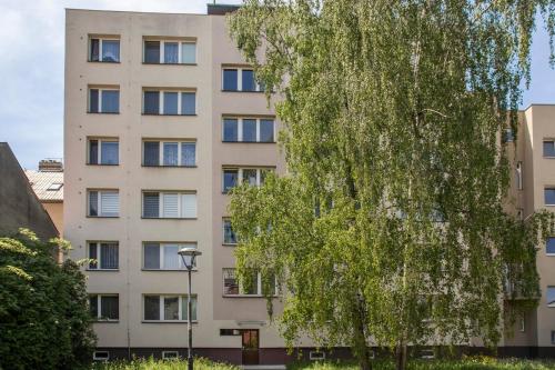 an apartment building with a tree in front of it at Útulný apartmán na ulici Přemyslovců in Mariánské Hory