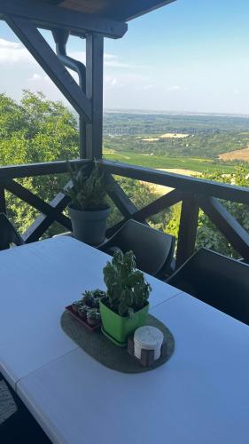a table with two plants on top of a balcony at Pokito House on the Hill in Sremski Karlovci