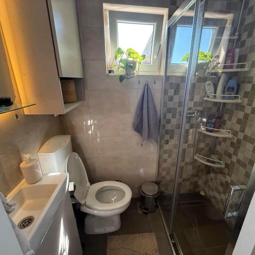 a small bathroom with a toilet and a shower at Pokito House on the Hill in Sremski Karlovci