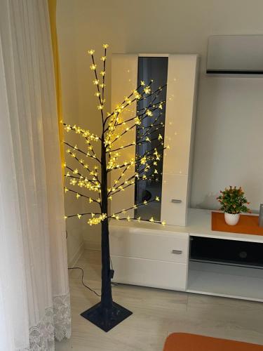 a christmas tree with lights in a room at Apartman Delux Gogica in Loznica