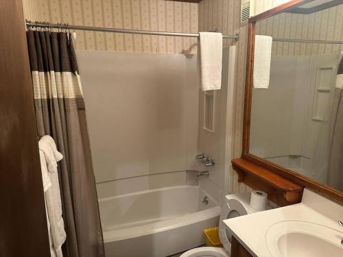 a bathroom with a shower and a toilet and a sink at SC113A1BR 1BA Sleeps six WIFI Hot Tub Free Parking in Snowshoe