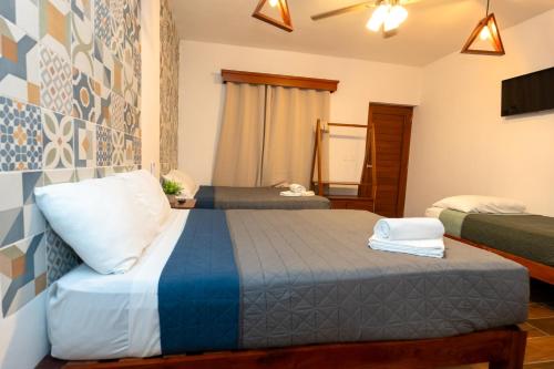 a bedroom with two beds and a tv at Suucilha in Valladolid