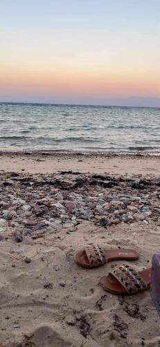 a pair of flip flops on a beach with the ocean at Soul camp in Nuweiba‘ el Muzeinah