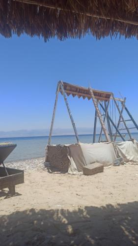 a swing on a beach with the ocean in the background at Soul camp in Nuweiba‘ el Muzeinah