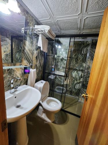 a bathroom with a toilet and a sink and a shower at Yazicilar Hotel in Masukiye