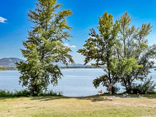 two trees on the shore of a body of water at Apartmán s krásným výhledem na jezera a Pálavu in Pasohlávky