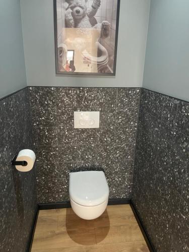 a bathroom with a toilet and a picture on the wall at Maison 2 chambres avec terrasse in Doullens