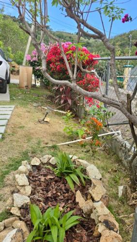 a garden with pink flowers and a tree at Tropical Retreat in Matthews