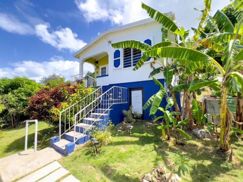 a blue and white house with stairs in a yard at Tropical Retreat in Matthews