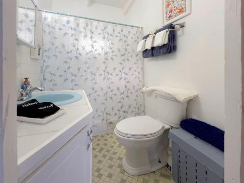 a white bathroom with a toilet and a sink at Tropical Retreat in Matthews