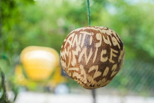 a ball with the words endvice written on it at Tropical Retreat in Matthews