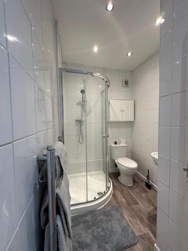 a bathroom with a shower and a toilet at Week and Month Stays 3 Bed Flat and Cinema Room in Rogerstone