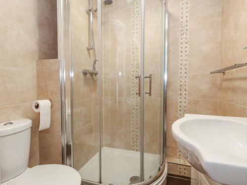 a bathroom with a shower and a toilet and a sink at Flat 9 in Swanage
