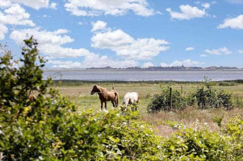 Fotografie z fotogalerie ubytování 0276-Romo-P-Maersk-Mollers-vej-4-B v destinaci Romo Kirkeby