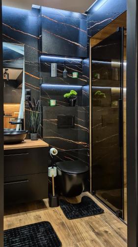 ノヴィ・タルクにあるPod 27- Klimatyzacja,wanna z hydromasażem,garażの洗面台とトイレが付いた黒い壁のバスルーム