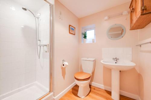 a bathroom with a toilet and a sink and a shower at Larksfield Snug in Debach