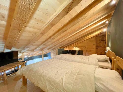 Duplex en bois aux Ménuires, 3 chambres, parking, 6 pers - FR-1-452-392