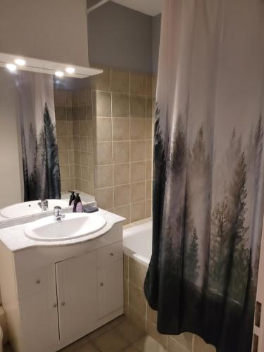 une salle de bain avec un lavabo et un rideau de douche dans l'établissement Appart vue montagne Le Devoluy, à Saint-Étienne-en-Dévoluy