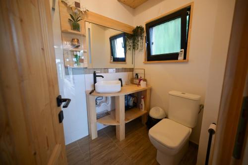 a small bathroom with a toilet and a sink at Montis House in Vişeu de Mijloc