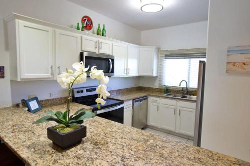 a kitchen with white cabinets and a plant on a counter at 7 Up Condo at Kaibo Kai in Driftwood Village