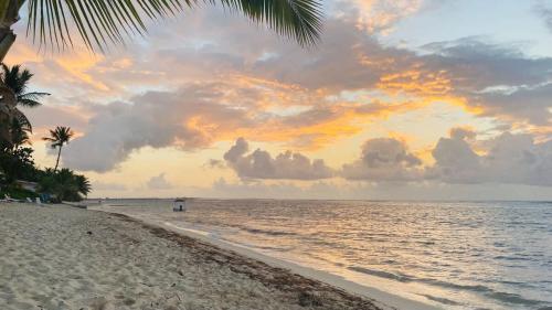 a beach with a palm tree and the ocean at Caribbean Paradise #29 Condo in Lambert House