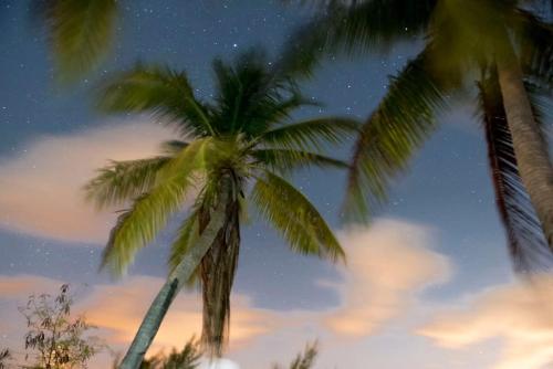 Galeriebild der Unterkunft Callie Kai at Kaibo Yacht Club in Driftwood Village