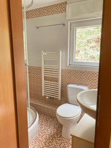 a bathroom with a toilet and a sink at Cosy European Instituts in Luxembourg