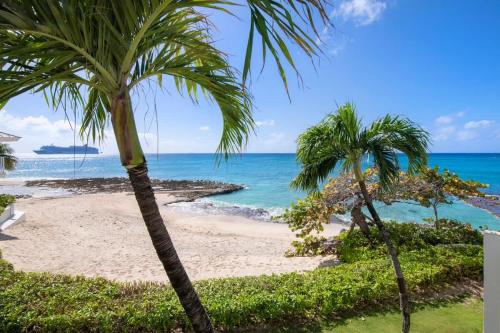 two palm trees on a beach near the ocean at Grape Tree Condo #10 in George Town