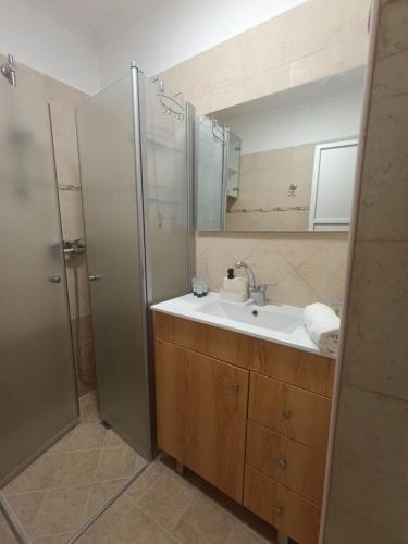 a bathroom with a sink and a shower at Under the Stars of the Golan in Qasrîne