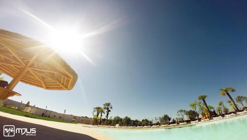 a view of a beach with palm trees and water at Mjus Resort & Thermal Park in Körmend