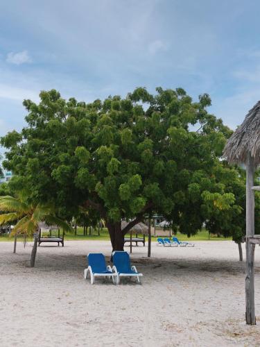 two chairs under a tree on a beach at Beach Apartment At Nikki Residences 2 Bedroom in El Chirú