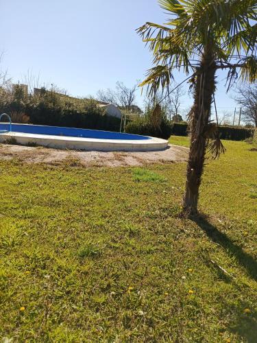 a palm tree and a boat in a field at Quinta "El Ángel Gabriel" in Gowland