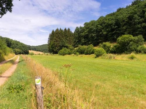 a field of grass with a fence and a dirt road at Hillside Haven in Waxweiler in Waxweiler