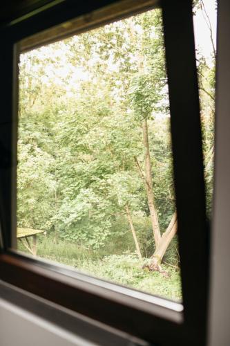 a view of a tree from a window at Uroczysko Oleśnica in Chodzież
