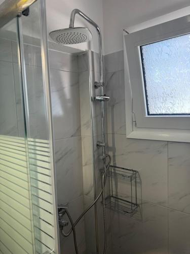 Beautiful and Remodeled Apartment 1A