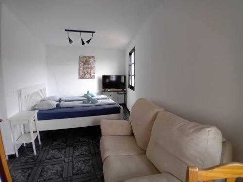 a living room with a couch and a bed at Finca Rosa in Güimar