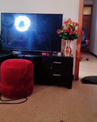 TV a/nebo společenská místnost v ubytování Hawi Studio