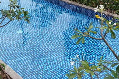 a blue swimming pool with a tree in front of it at Parsons Place in Chiang Mai! in Chiang Mai