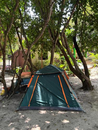 Gambar di galeri bagi Camping do Jacaré di Pipa