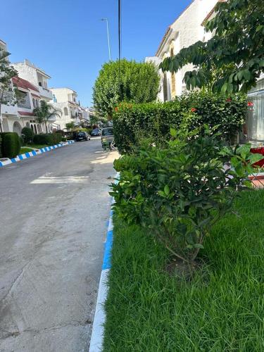 a bush sitting on the side of a street at Part Luxury in Cabo Negro