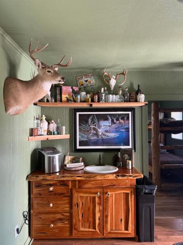 Kuchyň nebo kuchyňský kout v ubytování Bunk House