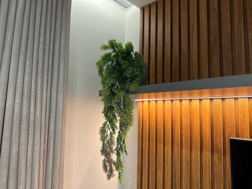 a plant hanging on a wall in a room at Apartamentos Exclusivos no Edifício City House in Barreiras