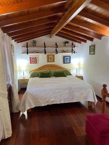 a bedroom with a large bed and wooden floors at Las Terrazas Valleseco in Valleseco