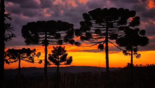 Východ nebo západ slunce při pohledu z prázdninového domu nebo okolí