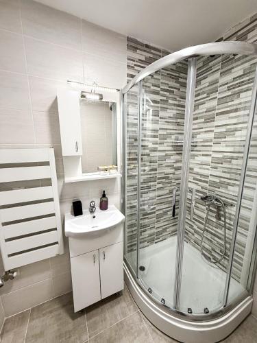 a bathroom with a shower and a sink at Limpio Apartman 2 in Belgrade