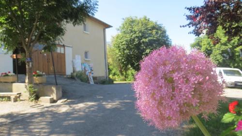 Camping la Tour – Photos 5