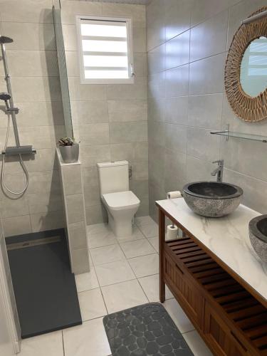 Saint-PierreにあるHabitation Ticolibri Saint Pierreの洗面台とトイレ付きのバスルーム