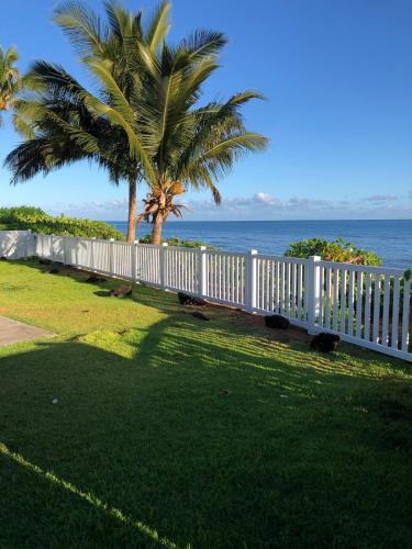 a white fence next to the ocean with a palm tree at Northshore Oceanfront Home- 5 bedroom and 4 bath in Waialua