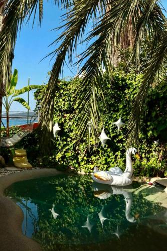 Casa Klod Ibiza photo 3